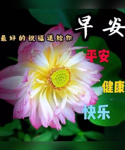 济济一堂