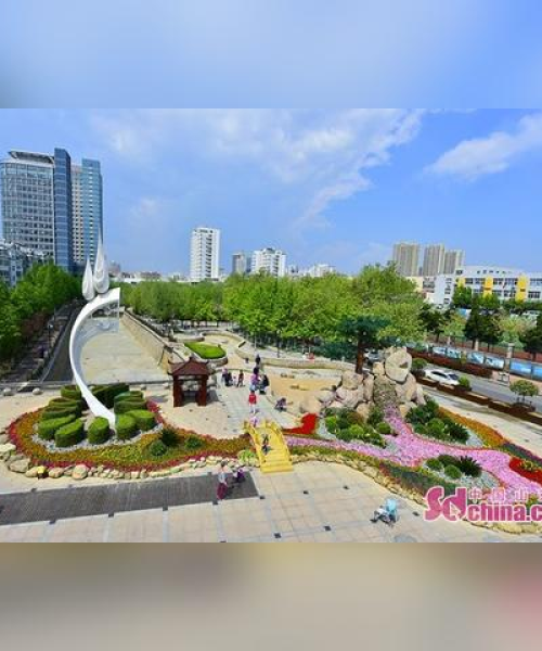 青岛迎来科技创新新篇章，7月18日头条新闻详解