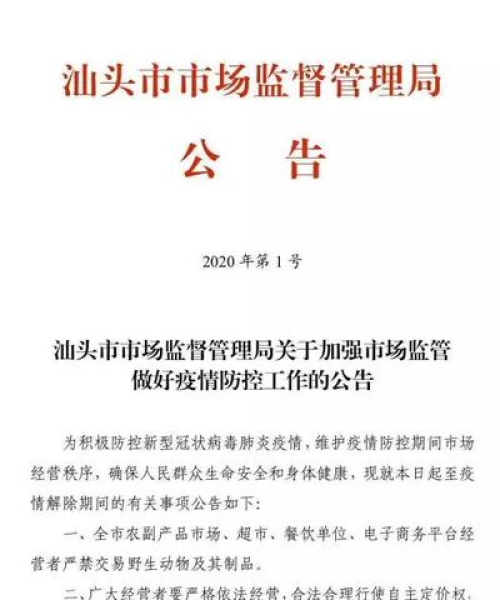 今日疫情总览图最新数据发布，全球疫情动态及影响分析