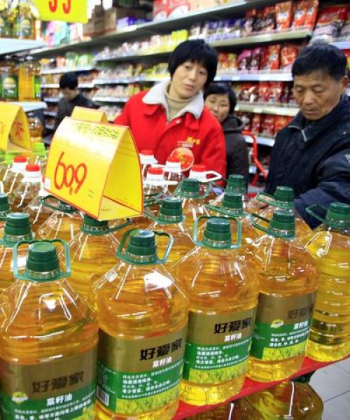 现货菜油今日行情最新报道