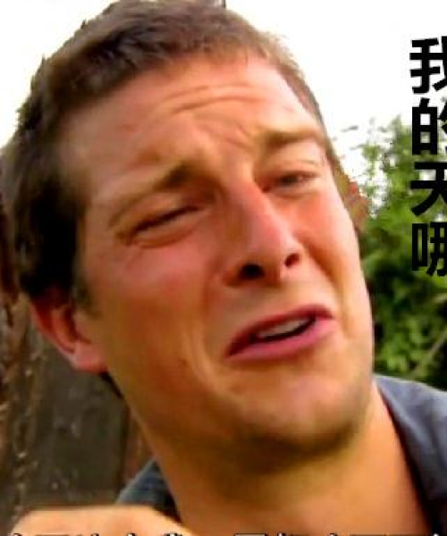 贝爷最新食物视频大全集，探索未知的美食世界