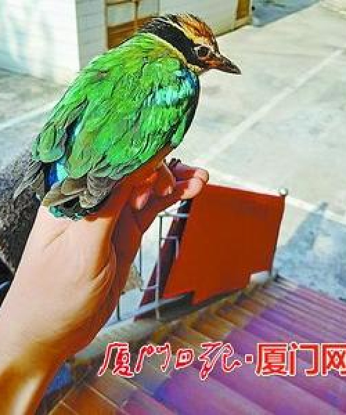 全球最高级保安公司排名