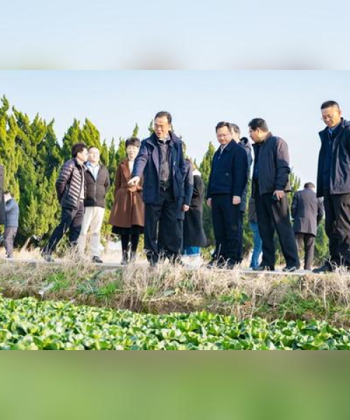 袁泉新闻头条，今日聚焦科技创新与农业发展新动态
