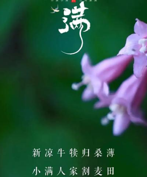 小满节气最新消息报道
