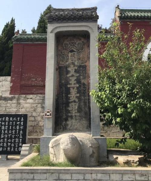 河南验布机公司排名及行业分析