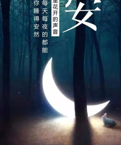 励志语录晚安，用心触摸梦想的力量