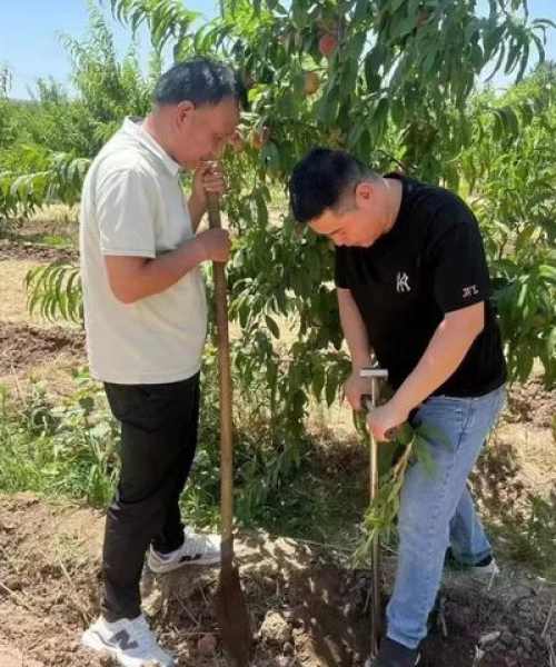 政策导向下的农业技术培训行业规范化与创新发展