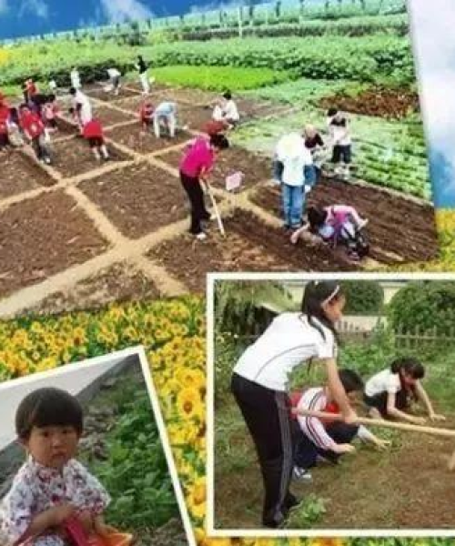 农业教育趋势分析，从传统到现代的转变