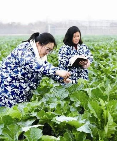 中农科测测试测量技术助力农业产量提升