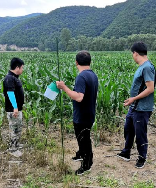 中农科测环境监测仪器助力农业防灾减灾