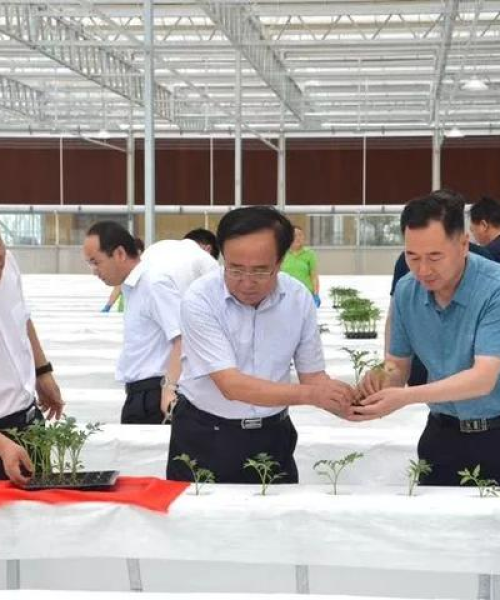 中农科测与农业企业携手共进，共同推进农业标准化建设
