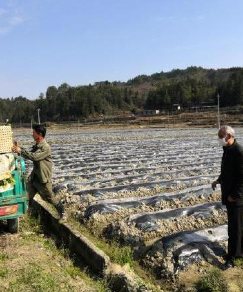 如何利用数据驱动农业生产决策——以中农科测（成都）科技有限公司为例