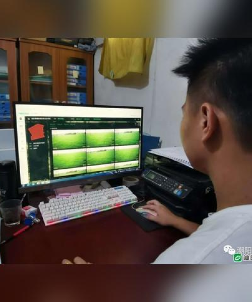 农业现代化中的智能监测系统