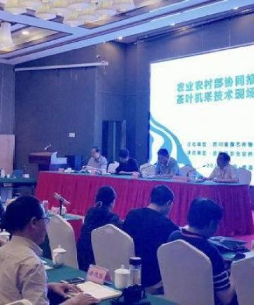 农业产值提升30%的成功因素分析