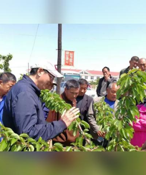 中农科测环境监测仪器助力农业环境保护