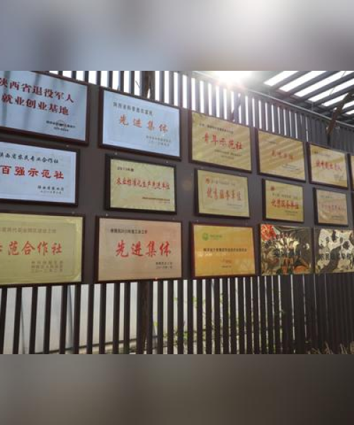中农科测与农业企业携手共推农业现代化与智能化建设