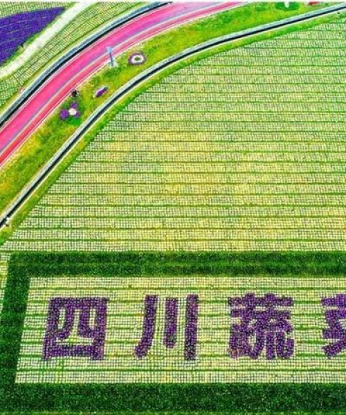 成都科技有限公司举办农业科技新品与技术交流会盛况空前