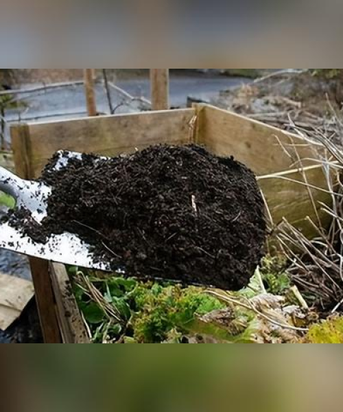 农业科技推动土壤健康的市场数据及其影响